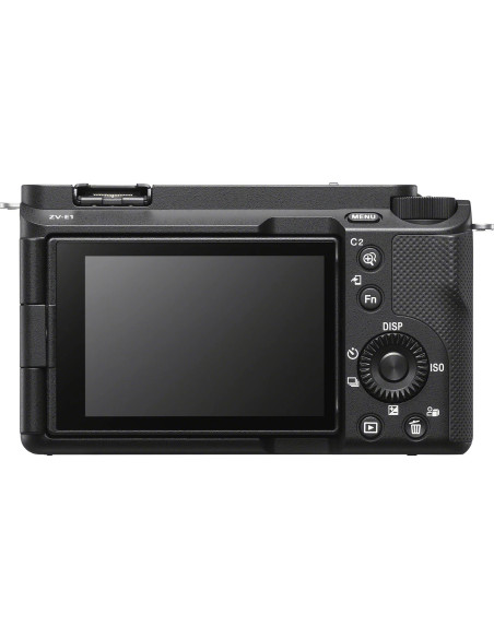 ZV-E1 + FE 28-60mm f/4-5.6